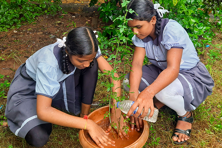 tree-projects